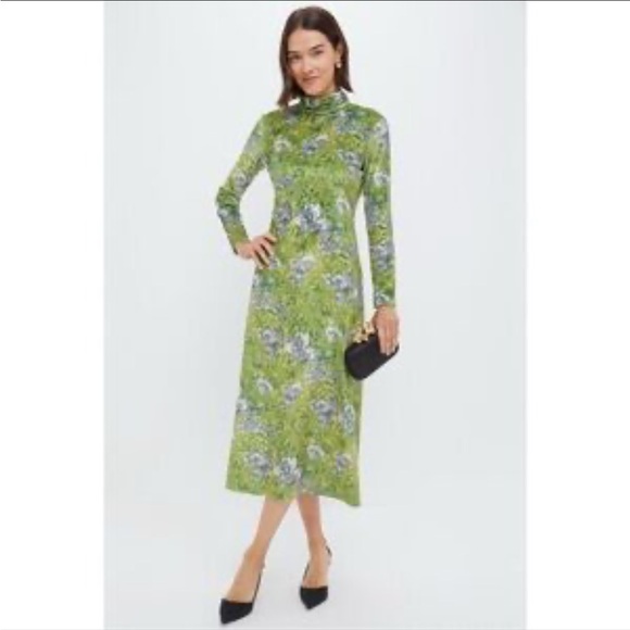 Tuckernuck Dresses & Skirts - Tuckernuck Green Floral Long-Sleeve Midi Dress